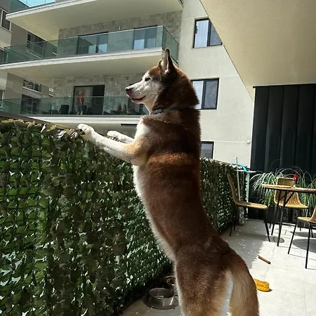 Seaview Oasis ナボダリ